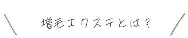 増毛エクステとは？