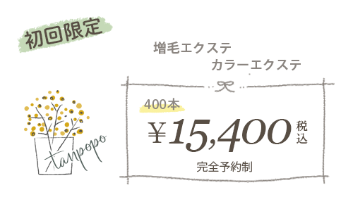 増毛エクステ、カラーエクステ 初回限定価格 15,400円