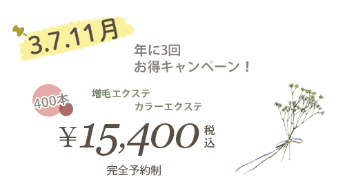 3・7・11月 年3回お得キャンペーン 増毛エクステ、カラーエクステ 15,400円